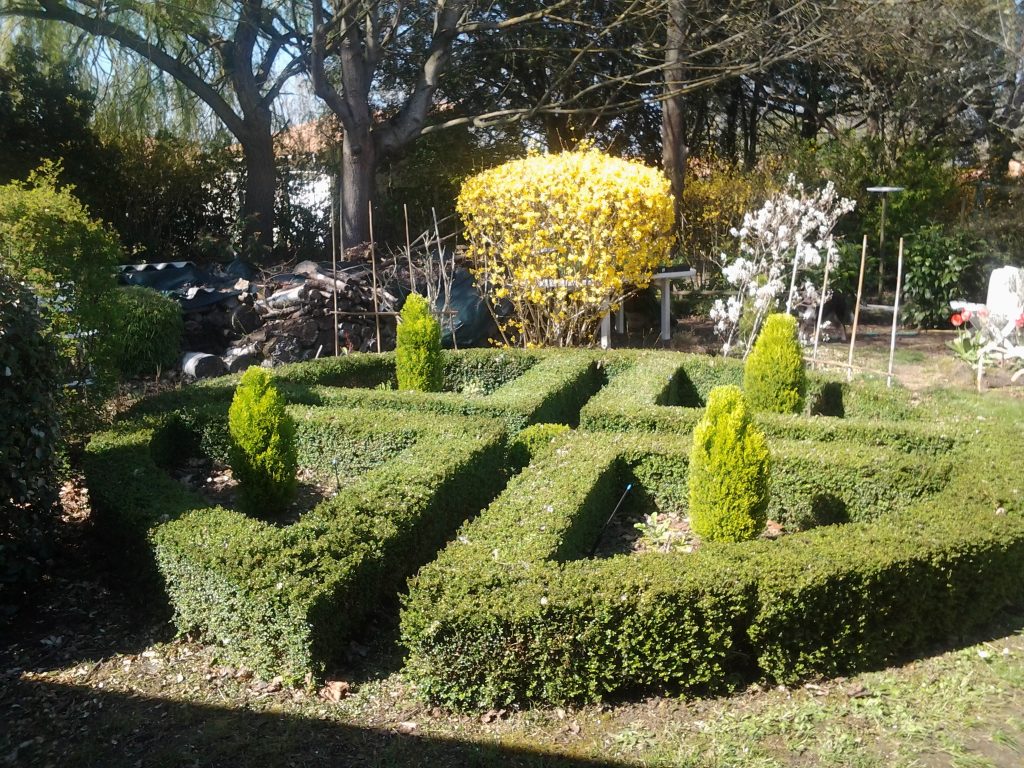 A propos des jardin de David, voici un massif de mon jardin rond sculpté.