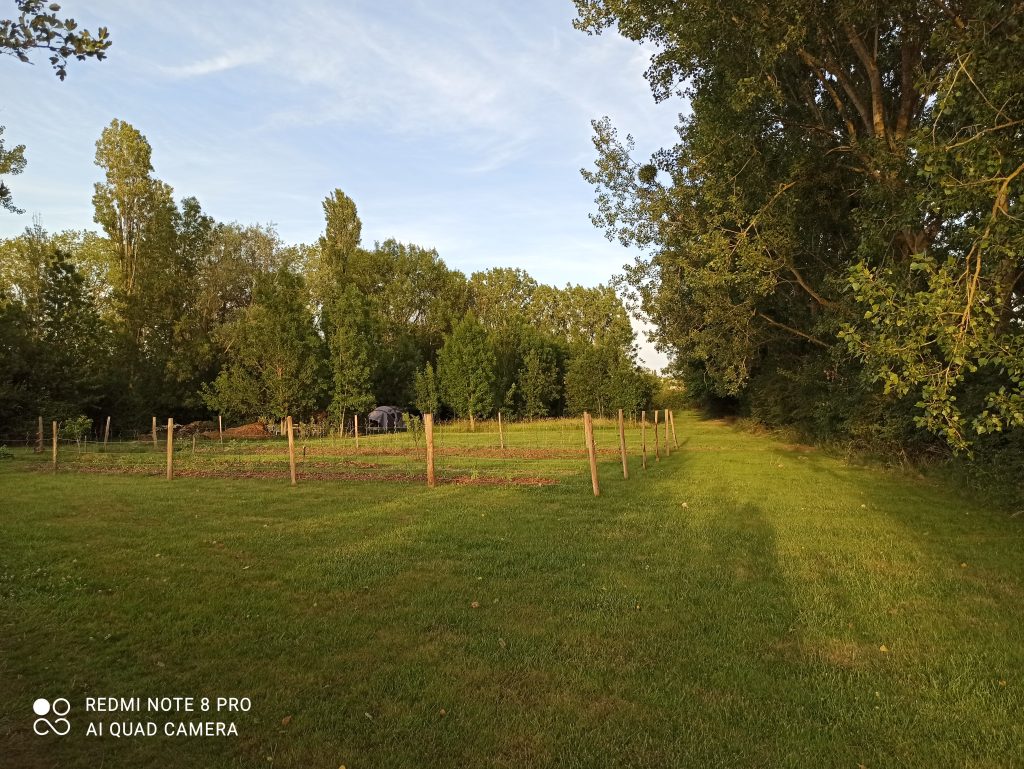 A propos des jardins de David, voici mon jardin: Le jardin nature